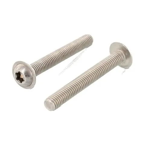 Begränsat antal Schäfer & Peters 738022T6 75 Sexkanthålsskruv